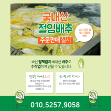 정직한 국내산 절임배추 당일생산 오전주문 [배추:국내산 소금(정제염)국산 ]