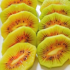 제주 레드키위 맛있는 고당도 키위, 5kg(특대), 1박스
