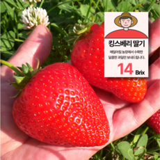 [압도적크기] 논산 킹스베리 딸기 대왕딸기, 1개, 400g (특대)