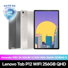 [Lenovo Certified] Tab P12 WIFI 256GB QHD 그레이 국내정식수입 2년보증 (2년 파손보험적용상품)