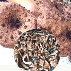 생능이버섯 국산능이버섯 1kg 최상품 건능이버섯 90g 강릉오대산능이, 건능이 90g, 1박스