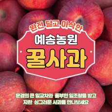 문경사과 부사 후브락스 감홍 선물용 가정용 5kg 10kg(예송농원 산지직송) [원산지:국산(경상북도 문경시)], 못난이흠과5kg중+소 혼합17~22