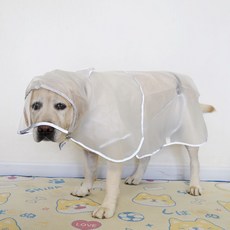 반려견맞춤식재료바이블