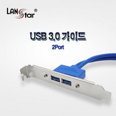 lsglan31