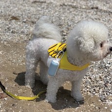 c09176e54c2b100bebe639f248af7fd7ad70d7cdd39c2f5c2c651f20d649.jpg