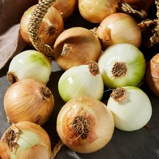 무안 황토밭 24년 단단한 양파 4kg(중), 무안 양파 4kg, 1개