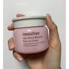 제주왕벚꽃톤업