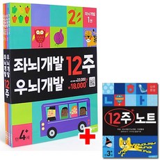 좌뇌우뇌12주