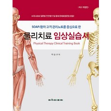 임상도수치료테크닉