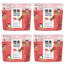 네츄럴코어 캣쵸 고양이간식 60g, 참치, 4개