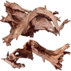수족관 장식용 내추럴 스몰 스파이더우드 드리프트우드 레틸 어항 장식 구색 가지 4-7 8개, Coral Driftwood 10 to 14 Inch, 1개