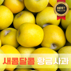 [다정한과일] 프리미엄 특품급 시나노 골드 황금 사과, 1박스, 특품 중대과 10kg (40~50과)