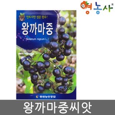 왕까마중