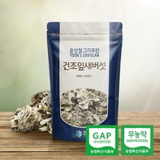잎새버섯