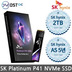 SK하이닉스 Platinum P41 NVMe SSD 2TB SSD