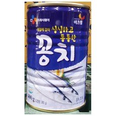 미스터꽁치