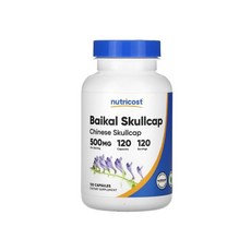 삼백초퀘르세틴 500mg 항염증 면역영양제, 1개, 120정