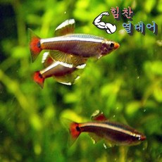 7fc8d9a16e5aaf55cb2dfa1cc47bf04cf60a5100905513d3cf26342054b5.jpg