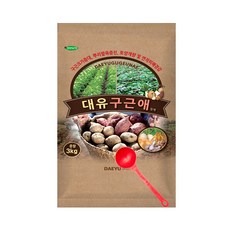 솔림텃밭몰대유