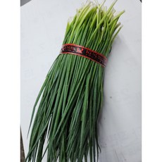 쪽파 1단 국산 1kg 내외, 1개