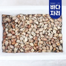 바다자리 당일어획 남해안 생물 바지락 10kg 도매 벌크 대용량, 1개