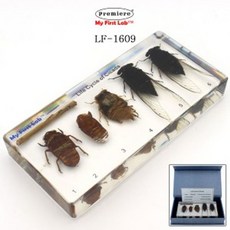 a7692f9d606596420ae06a0d542f137aa640e1deff3ebe10d944a9289ce4.jpg