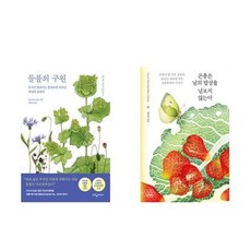 하나북스퀘어 들풀의 구원+곤충은 남의 밥상을 넘보지 않는다