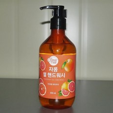 자몽 레드 시트러스향 핸드워시 300ml (WD3F1CD), 1개