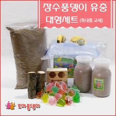a872c1d62620bb0525710262ab8f2103e49531cde310c53fc03e3dc6909e.jpg