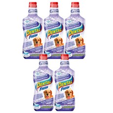 시너지랩 덴탈후레쉬 애견 구강청결제, 503ml, 5개