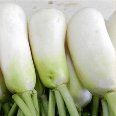 절임 오타리 3.5KG 세척 후 절인 알타리 총각무, 1개