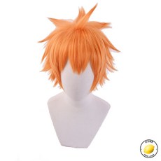 히나타쇼요배구복