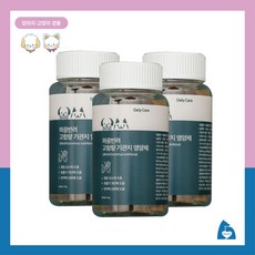 마음반려몰 고함량 기관지 강아지영양제 기침개선, 3개, 호흡기/기관지, 60정