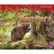 Beavers Hardcover, Capstone Press