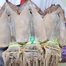 주문진마른오징어