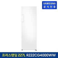 삼성 냉동고 227 L RZ22CG4000WW, 단일속성