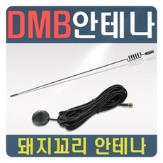 돼지꼬리안테나