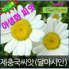 //상품명