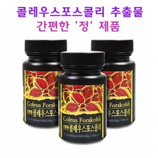 kfc스콜쳐