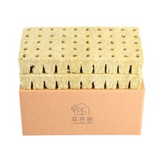 그로단 100구 씨앗 종자 발아용 LG틔운미니 수경재배 스펀지 파종 2.5x2.5x4cm, 1개 1개