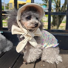대형견 썬캡 강아지 제주도 강아지 밀짚모자, 블랙, 1개