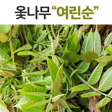 <예약특가!!> 국내산 봄나물 | 옻나무 여린 첫순 [5월초 순차출하] 봄내음 폴폴~~, [5월초 출하예약] 국산 옻나무순, 여린순 1kg (17cm 이하)”></center><br />
            <center></p>
<div class=