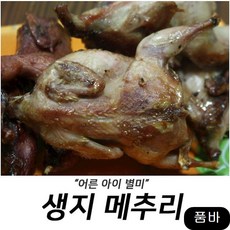 d8d8a47496d3f8309bdd70ccc59a473332d1c293bdc82f2d4426135aa15b.jpg