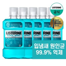 리스테린 구강청결제 쿨민트 250ml, 5개