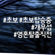 제주도서핑초보이호테우