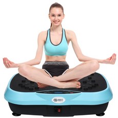 헬스장덜덜이 다이어트 쉐이크보드 헬스 마사지 목욕탕 털털이 기구 운동기구