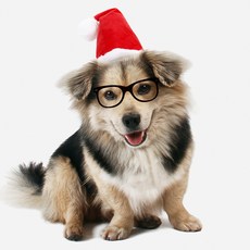 크리스마스 러블리 장식 애견용품 강아지 머리 장식 고양이 강아지 통용 레드 크리스마스 모자, 1개