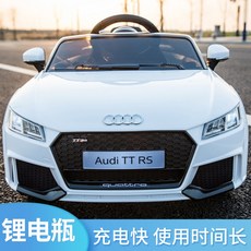 아우디푸쉬카캐노피