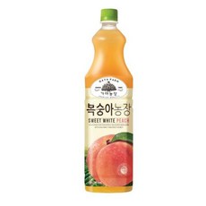 가야 복숭아농장 웅진 1.5L, 1개