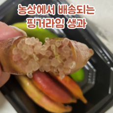 [농장 산지 직송] 핑거라임 130g 냉동 Finger Lime 새콤달콤 캐비어라임 톡 터지는 국내산 알맹이과일 희귀과일 열대과일 톡톡튀는 케비아라임 비타민C 신맛 비타민과일, 1박스, 핑거라임 냉동 130g
